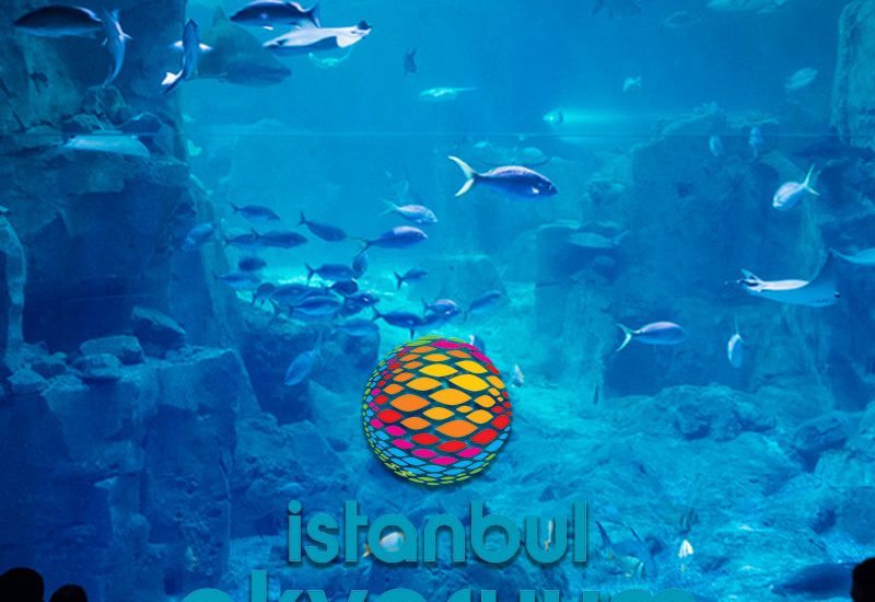 Aqua Florya
