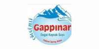 Gappinar
